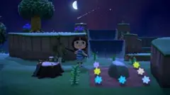 葵様専用 どうぶつの森 amiiboカード