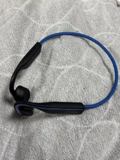 Item thumbnail for item 63355551-d44c-4eba-936e-7cbfa1305785