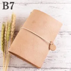 Item thumbnail for item 47551ac6-8e14-4a0b-8c25-143a7237984b