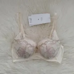 トリンプ　天使のブラ　626　定価6600円　001 D65 ブラジャー