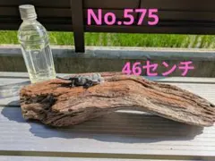2026年最新】アク抜き済流木の人気アイテム - メルカリ
