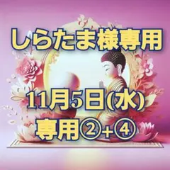 しらたま様専用