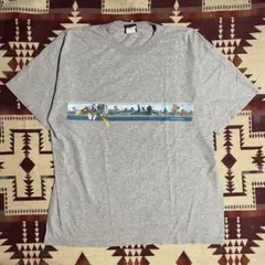 90s00s NIKE ACG Tシャツ デットストック M ヴィンテージ - メルカリ
