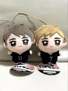 ハイキュー ぬいぷりけmini 2種セット