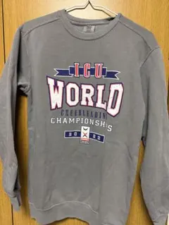 ICU Cheerleading Championships S グレーのサムネイル