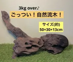 Item thumbnail for item cae47ebd-44a2-41dd-8692-a93638e7977a