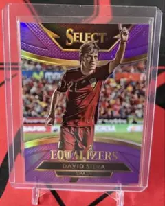 David Silva Select Equalizers 78/99