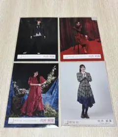 櫻坂46 向井純葉　生写真　まとめ売り