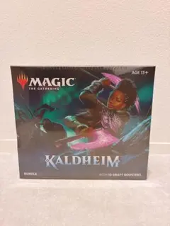 2026年最新】バンドル版の人気アイテム - メルカリ