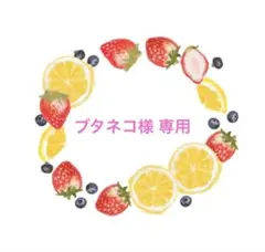 ブタネコ様 専用