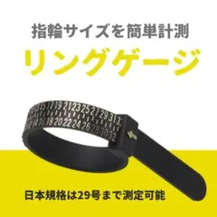 リングゲージ 指輪 サイズ バンド リング 計測 ブラック 日本規格 29号まで