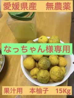 なっちゃん様専用