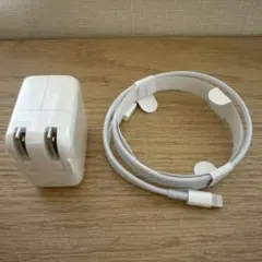 Lightningケーブルとアダプタ iPad iPhone