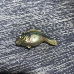 Item thumbnail for item 9b205925-b7ba-4604-af35-aaee953aa7b2