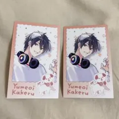 夢追翔　わんにゃんdays チェキ風カード　にじさんじ