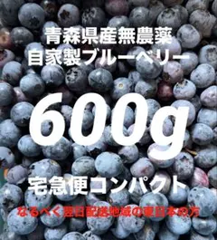 青森県産　無農薬　ブルーベリー　600gのサムネイル