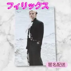 StrayKids スキズ DO IT PLATFORM トレカ フィリックス