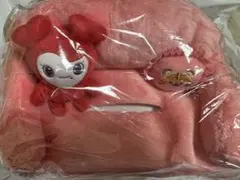 TWICE LOVELYS GIGOティッシュカバー　チェヨン