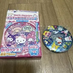 【新品未開封】サンリオキャラクターズ　キラキラBIG缶バッジ2 12番