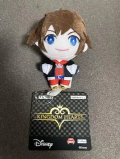 キングダムハーツ　マスコット　ナムコ限定　ソラ