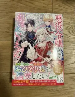 悪役令嬢 文学・小説