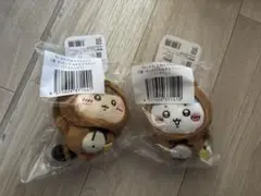 たぬきだもんくじ　C賞