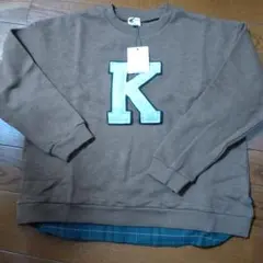 Item thumbnail for item 252bbc34-2d60-4dfa-a012-2cfc41ecc364