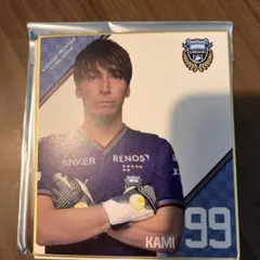 Item thumbnail for item f6c9ae63-7d61-4455-86db-026619974ca0