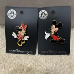 【ディズニー】ミッキー・ミニー ピンバッジセット
