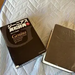 みき様 リクエスト 2点 まとめ商品