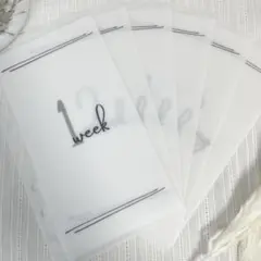 Item thumbnail for item d1e3ede8-479f-433a-8856-99979a9ae0d3