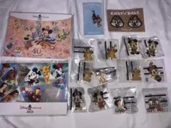 ディズニーピンバッジチャーム16点セット未開封限定有⚠️お早めに購入お願いします⚠️