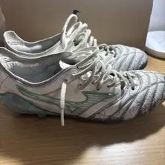 モレリア2Japan 25.0センチ カタールW杯限定カラー - メルカリ