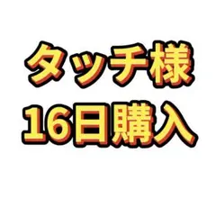 タッチ様専用！SAIMDANGのサムネイル