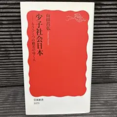 少年社会日本 -もうひとつの格差のゆくえ 山田昌弘