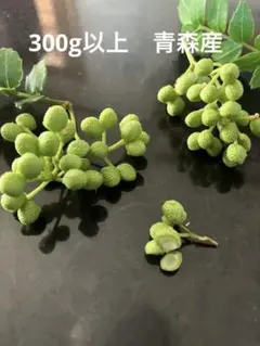 31天然　山椒の実　採りたて　青森産のサムネイル