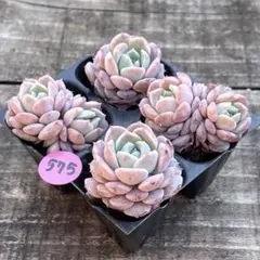 ひまちゃん♡様 リクエスト 8点 まとめ商品