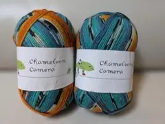 Chameleon Camera 毛糸 2玉セット