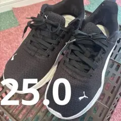 PUMA スニーカー 25.0 ブラック×ホワイト