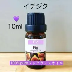 天然由来　フィグ　いちじく　エッセンシャルオイル　アロマオイル　精油のサムネイル