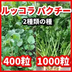 kirikouro様 リクエスト 2点 まとめ商品