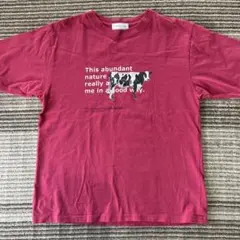 CIAOPANIC TYPY 半袖Tシャツ ピンク Mサイズのサムネイル
