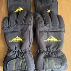 Item thumbnail for item f048cfcc-207a-4612-99e7-cc8adf46f399