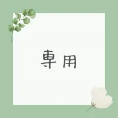 専用　ブローチなど