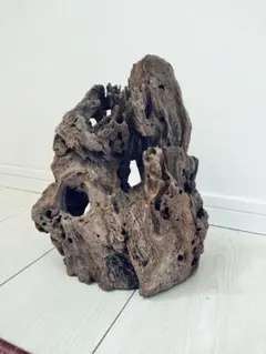 ADA 雲山石 Lサイズ 良形 穴あき 約23cm - メルカリ