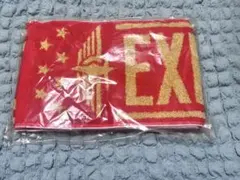 【早い者勝ち！即購入可】EXILE マフラータオル