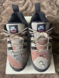 2026年最新】Supreme nike sb darwin low desert camoの人気アイテム