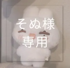 そぬ様専用ページ