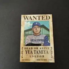 ファイターズ　ONE PIECE ステッカー　田宮選手