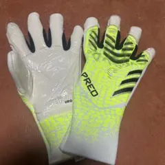 Item thumbnail for item 2a3ee9e1-a7c8-47e7-acff-44fd6206bb36